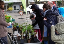 Ahrensburg: Pflanzenflohmarkt – am 26.04.2026 Pflanzenkauf auf dem Flohmarkt