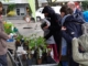 Ahrensburg: Pflanzenflohmarkt – am 20.09.2026, 10 Uhr Pflanzenkauf auf dem Flohmarkt