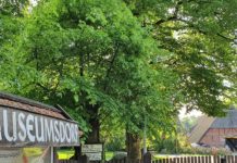 Volksdorf: Gewerketag Mechanische Wunderwerke – am 15.02.2026, 11 Uhr