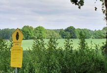 Höltigbaum: Naturkundliche Führung am 11.07.2026