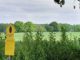 Höltigbaum: Naturkundliche Führung am 11.07.2026, 14 Uhr