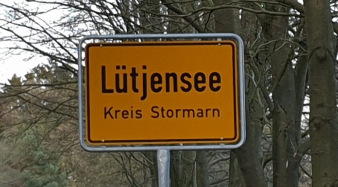 Lütjensee: Mit Alkohol am Steuer gegen Baum gefahren – ein Schwerverletzter