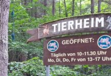 Großhansdorf: Sommerfest im Tierheim am 21.06.2026, 10 Uhr