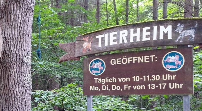 Großhansdorf: Sommerfest im Tierheim am 21.06.2026, 10 Uhr