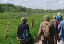 Ohlstedt: Wanderung entlang der Alster am 12.03.2026, 10.35 Uhr