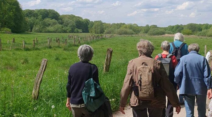 Ahrensburg: Wanderung durch den Höltigbaum am 05.07.2026