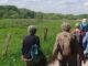 Ahrensburg: Wanderung durch den Höltigbaum am 26.06.2026