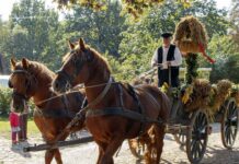 Volksdorf: Erntefest im Museumsdorf – am 20.09.2026