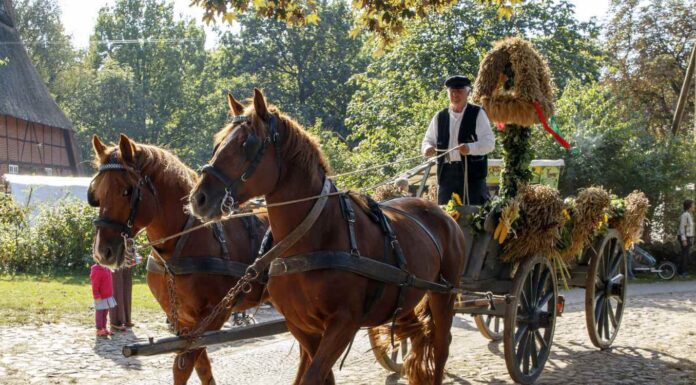 Volksdorf: Erntefest im Museumsdorf – am 20.09.2026, 11 Uhr