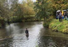Elmenhorst: Fischzug – am 31.10.2026, 11 Uhr