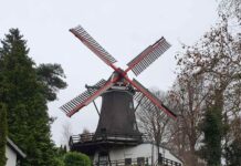 Bergedorf: Frühlingsmarkt am 22.03.2026, 11 Uhr