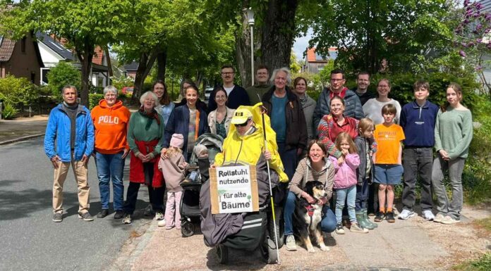 Ahrensburg: Anwohner gegen Fällung von fast 40 gesunden Bäumen im Waldemar-Bonsels-Weg